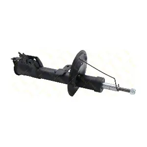 AMT299 GUTTMANN