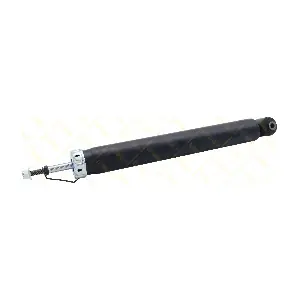 AMT251 GUTTMANN