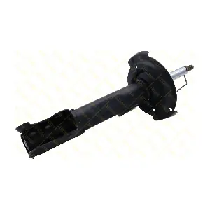 AMT163 GUTTMANN