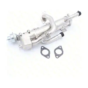 VGEGR26 GUTTMANN