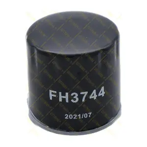FH3744 GUTTMANN
