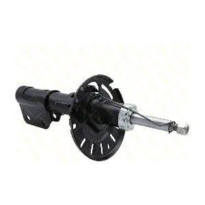 AMT305 GUTTMANN