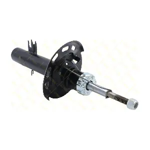 AMT224 GUTTMANN