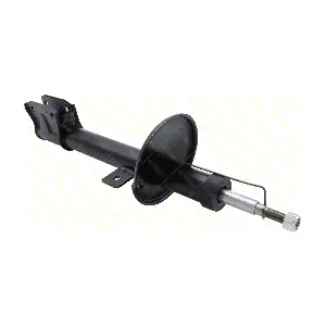 AMT236 GUTTMANN