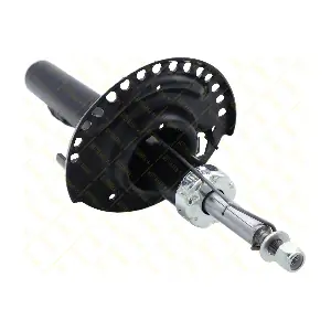 AMT114 GUTTMANN