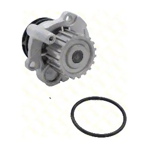 PE093 GUTTMANN