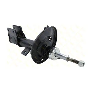 AMT250 GUTTMANN
