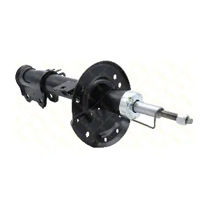 GUTTMANN AMT295