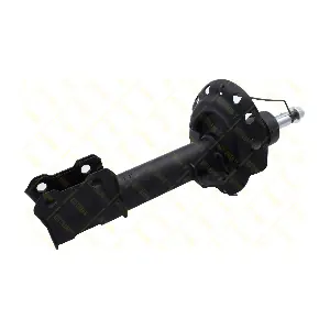 AMT308 GUTTMANN