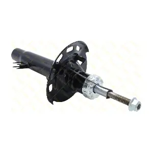 AMT259 GUTTMANN