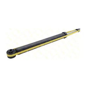 AMT293 GUTTMANN