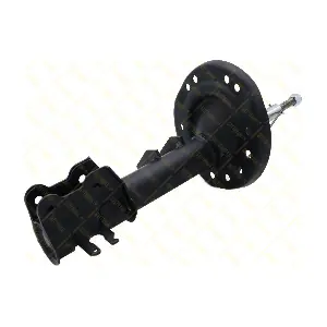 AMT161 GUTTMANN