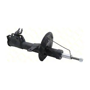 AMT298 GUTTMANN