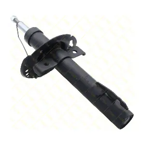 AMT127 GUTTMANN