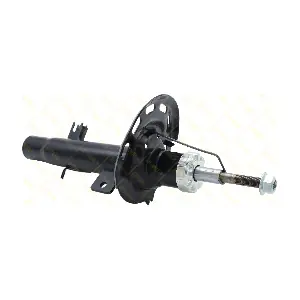 AMT258 GUTTMANN