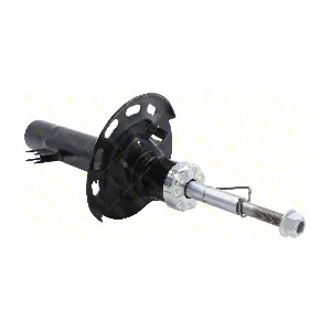 AMT239 GUTTMANN
