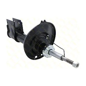 AMT247 GUTTMANN