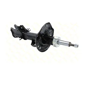 AMT280 GUTTMANN