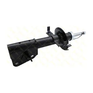 AMT183 GUTTMANN