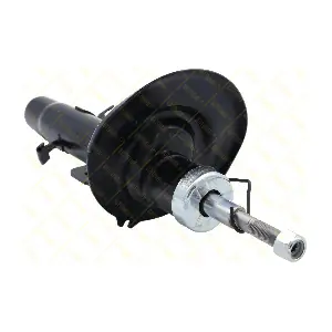 AMT226 GUTTMANN