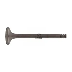 VAS17.00182 SCHNIEDER AUTOTECH