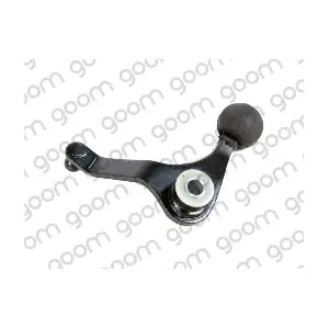 SSR-0009 GOOM