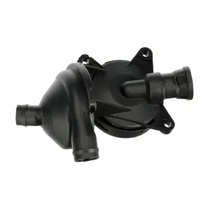 EBV-0036 GOOM