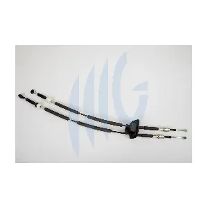 55215646 FIAT