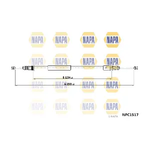 NAPA NPC1517