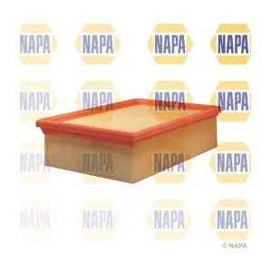 NAPA NFA1061