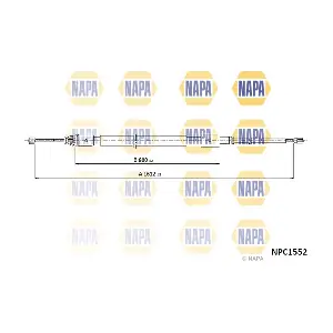 NPC1552 NAPA