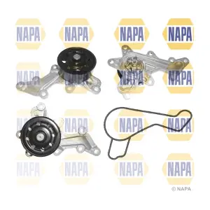 NWP1563 NAPA