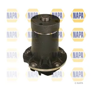 NAPA NWP1653