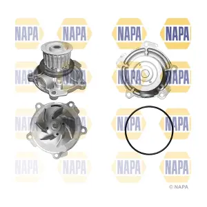 NAPA NWP1084