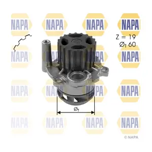 NAPA NWP1031