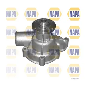 NAPA NWP1089
