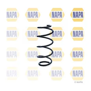 NCS1184 NAPA