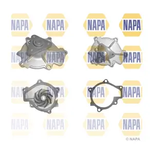 NAPA NWP1277