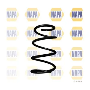 NCS1965 NAPA