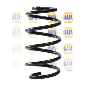 NAPA NCS2256