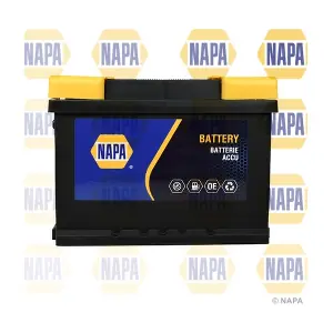 NAPA 075N