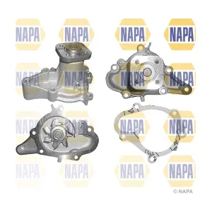 NWP1259 NAPA