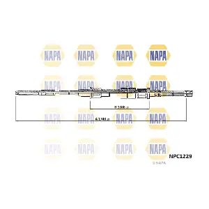 NAPA NPC1229