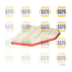NFA1289 NAPA