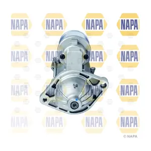 NAPA NDE2020