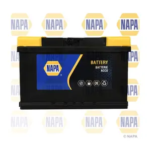 NAPA 100N