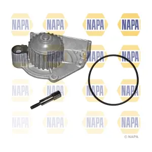 NAPA NWP1342