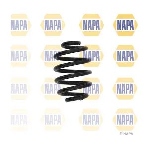 NCS1613 NAPA