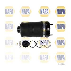 NAS1031 NAPA