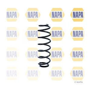 NCS1242 NAPA